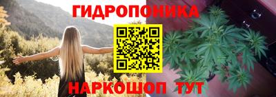 круглые Краснознаменск