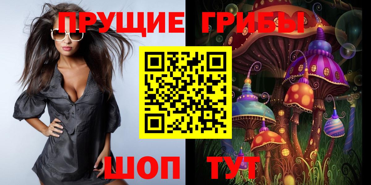 Йошкар-Ола  Галлюциногенные грибы Psilocybe  наркошоп  Вход с VPN 