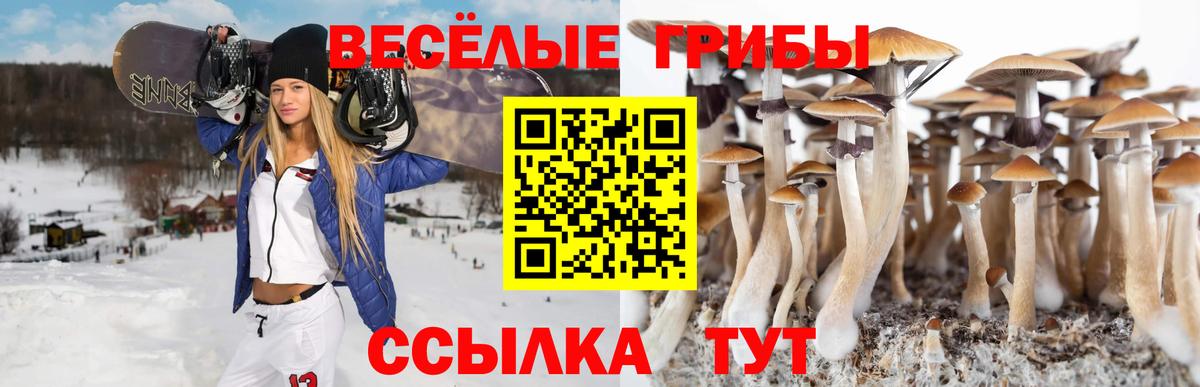 Галлюциногенные грибы прущие грибы Йошкар-Ола